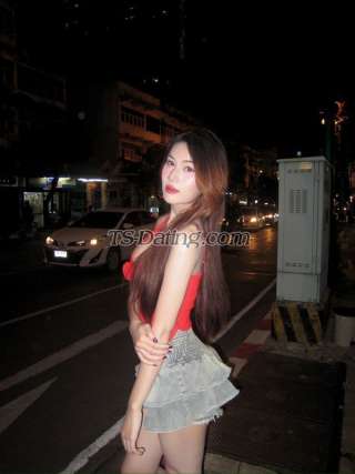 trans girl 083291mm 6629086