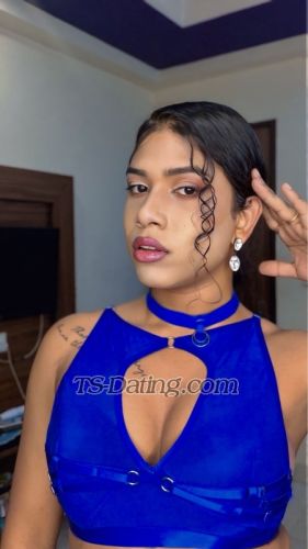 trans girl 123sitara 2415457 trans girl 123sitara 2415457