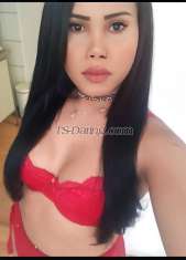 PAULA XXL Vilnius Transex Hello, I'm Paula trans, big cock 🍆🍑 and an uncomplicated active and passive cañera. I treat boyfriends. I'm an expert in beginners and painless penetration. I have a private apartment. 💳  revolut if you dare call me without hurry I run where and how I want. I also make video calls just call.