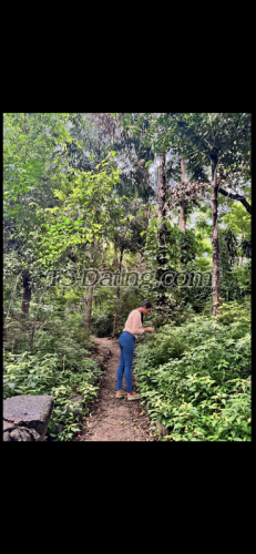 trans girl Palak2001 1235603