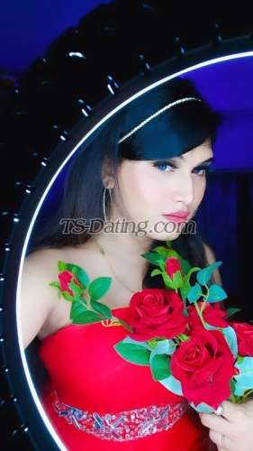 trans girl Palakroy 0865172 trans girl Palakroy 0865172