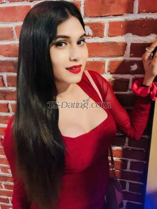 trans girl Palakroy 3840862 trans girl Palakroy 3840862