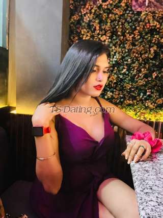 trans girl Palakroy 4218947 trans girl Palakroy 4218947