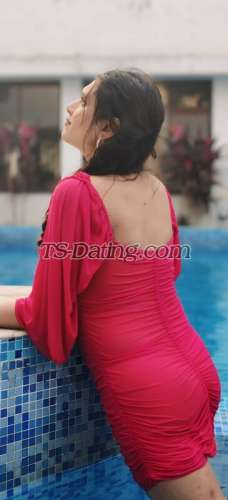 trans girl Palakroy 6377067 trans girl Palakroy 6377067