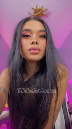 trans girl Pamela0315 3198413 trans girl Pamela0315 3198413