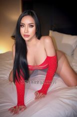 Pari big C Singapore Transex Hi im Pari  Sexy Star from thailand 🇹🇭 . I’m real
same picture 100% and famous . I’m from Thailand 🇹🇭
If you would like #CURVE Sexy Ladyboy 😈👅 I
have nice cock 6.5 inches and thick 🍆🍌 i can take
care of you good service 5 star 🌟 💫READY FOR
INCALL AND OUTCALL AVAILABLE 24 HOURS ⏱️💰 My
services include:   ✅ Bottom: Romantic sex or
fuck me as hard as can 69 each other cum only mount cum on
over my sexy body sexy hole 😜  ✅ Top: You would
like to get fucked by my large, hard tool? No problem.
 ✅ Oral: I will suck your cock deep, as long as you
want - without condom if you would like that. ✅
Rimming: Yeah, I'll lick your asshole and stick my tongue
inside.✅ Massage body to body MY SERVICES
FOR YOU 💵 ✅FIRST TIME VERY WELCOME
✅THREESOME AVAILABLE ✅SEX CAM AVAILABLE
✅ASK FOR MORE PIC NOT FOR FREE ✅POPPER
AVAILABLE ✅I CAN TOP 100% ✅ SEX TOY AVAILABLE
WhatsApp: +66932244451IG :
pari_parixxLine : Noomnim_1234Wechat :
Snapchat : Parix44451