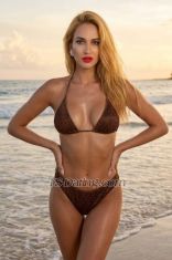 Paris13 Malmo Transex