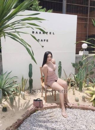 trans girl Paris168 7937328