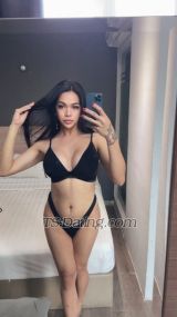 ParisPowerTop Kuala Lumpur Transex Hello.Mistress / Domination.. My name is Roxxanne  I'm 28years old, sexy ASIAN TS GIRL. I am extremely clean, I have sexy outfits, I smell GREAT AND I HAVE AN AMAZING GYM BODY! YOU WON'T BE DISAPPOINTED! Also, my flat is very comfortable, clean with air conditioning! Great place to to meet you... 

I am Ready to fulfill your desires and fantasies.... 

*FULLY FUNCTIONAL* * 100% HARD* 
*FLAT VERY DISCREET, CLEAN WITH AIR CONDITIONING* 

*TOP & BOTTOM / ACTIVE & PASSIVE* 
*Fucking (Safe only) 
*Sucking 
*RIMMING (Hygiene dependent) 
*Kissing 
*Massage / Tantric 
*Role play 
*Domination 
*Girlfriend Experience.... ETC. 
* I AM VERY GOOD WITH FIRST TIMERS !!!! 

DON'T MISS OUT THE TIME OF HAVING A SPECIAL GIRL LIKE ME ONCE IN YOUR LIFE  MY PICS ARE 100%REAL  WHAT YOU SEE IS WHAT U GET 
❤️WILLING TO GIVE YOU ALL MY BEST❤️ 
IF YOU HAVE ANY QUESTIONS PLEASE DO NOT HESITATE TO ASK... CALL OR WHATSAPP ME. XOXO