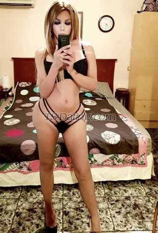 trans girl PaulaAraujo 2306063