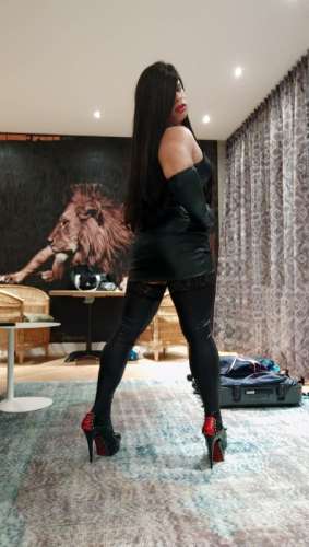 trans girl Paulina23cm 6872620