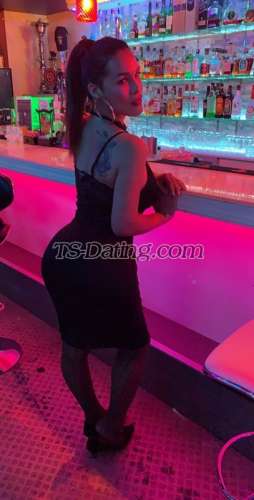 trans girl Paulina82 9311856