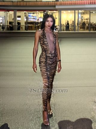 trans girl Peony 8416997 trans girl Peony 8416997