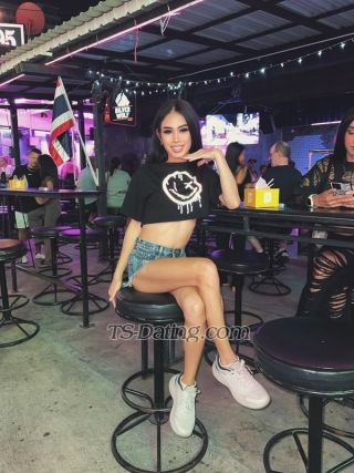 trans girl Phettypattaya 2555334 trans girl Phettypattaya 2555334