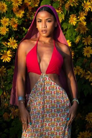 trans girl Pianotsthai 1739372 trans girl Pianotsthai 1739372