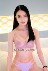 Piglet Pattaya Transex Line :  piglet075
Telegram :  piglet075 
Whatsapp : +66645544075

Hello guys. I'm Piglet. 
Now in Pattaya.
From Bangkok, Thailand.
I nice ladyboy. I can do everything about sex. 
top, bottom, 69, blowjob, party, cum etc.