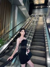 Piraya Bangkok Transex 👋Hello, my naughty little minions.” I'm New Year
🖤Playful face✨, boss energy
inside🫦.Thai ladyboy in Bangkok🇹🇭 confident,
commanding, and irresistible.✅I know how to take
control and how to make you crave more.If you enjoy
strong feminine dominance with a teasing smile… you’re
exactly my type.🔞📍 Bangkok | Clean |
DiscreetSerious, respectful only.Message me if
you’re ready to behave or be guided💚
WhatsApp: +66 985040740🩷 IG: Piraya_tt🩵
Line: bluetooth_67📞 0985040740