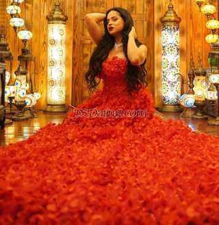 trans girl Pomba 6048766