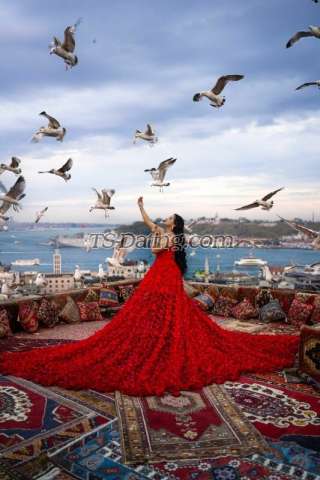 trans girl Pomba 6092996