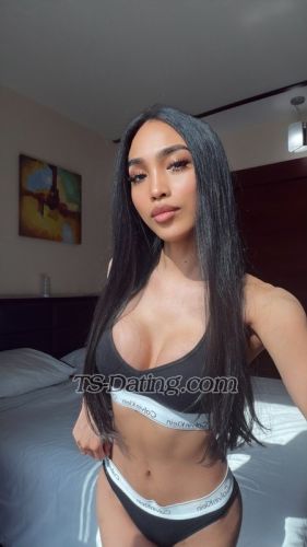 trans girl PornstarGwen 0656581 trans girl PornstarGwen 0656581