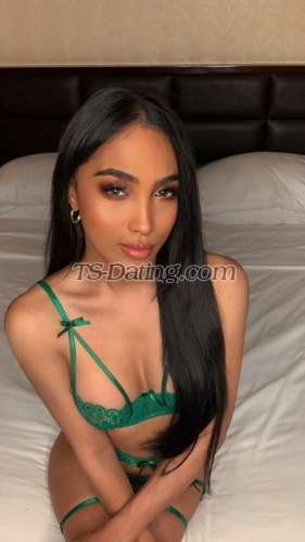 trans girl PornstarGwen 3563538