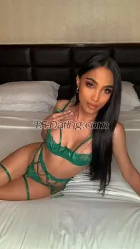 Shemale PornstarGwen 3563555 Shemale PornstarGwen 3563555