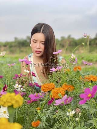 trans girl PrettyTopTS 4331057