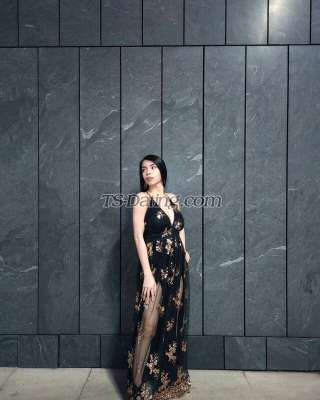 trans girl Prettykim05 7566300