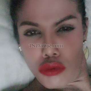 trans girl Priskats 8704876