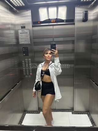 trans girl pamela9374 2822777 trans girl pamela9374 2822777