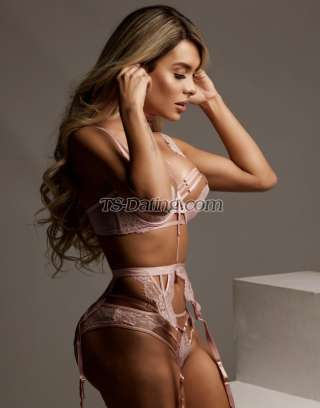 trans girl pamela9374 2825183 trans girl pamela9374 2825183