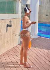 patriciaLopez Doha Transex Premium Pleasure With Young Verified Professional MISTRESS Full Service Incall Or Outcall
Hi guys, I’m thick and very flexible Regular sex is boring, let’s tune it up and let me bring you through your wildest dreams..