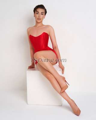 trans girl persianbaddie 8661612