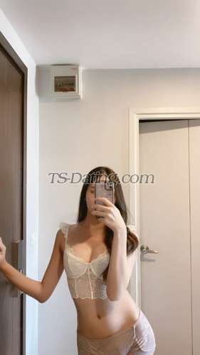 trans girl pproudrcn 5909746