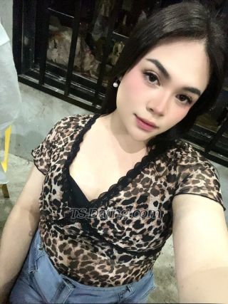 trans girl QueenCarly 7391423 trans girl QueenCarly 7391423