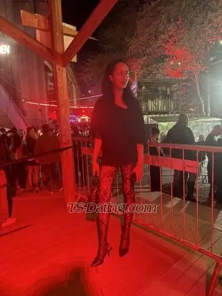 Shemale QueenK 4492547 Shemale QueenK 4492547