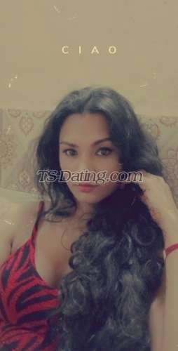 trans girl QueenSarah 8400969