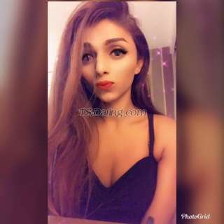 trans girl QueenShona 7490698