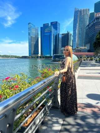 trans girl Queenmonica 8326652