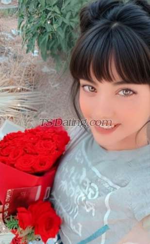 trans girl Queinnmona 2495433