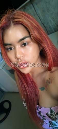 trans girl QuiinMolly 7186153