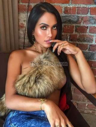 trans girl Quratu 1431644 trans girl Quratu 1431644