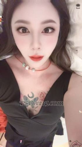 trans girl qian1069 2546740 trans girl qian1069 2546740