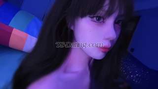 trans girl qiqi24521 3208546