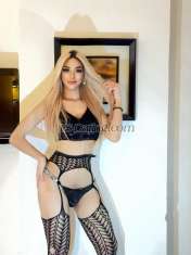 ROCKSTAR TS Kuala Lumpur Transex My name is Chacha from Thailand Mix Japan 26years old real beautiful with big cock

I’m new here staying nice hotel in ( KL  )
if u want try my best service plz travel visit  to find me here KL contact me  

My Size 7 inches fuck deep deep in your mouth
Hot cum on your face 

SERVICE 💸💸💸
- I CAN TOP AND BOTTOM
- BIG COCK 7 INCHES 
- BDSM ALSO AVAILABLE 
- CAMSHOW
- ONLYFANS

CONTACT ME ❤️

🍆 Telegram:: Lovenatureka
🍆 WeCha: Ijibangseikai
🍆 Add me WhatsApp: +66650568781
🍆 Add line id: niceverylove 
🍆 IG : Phichyata 


✅🔞 SUBSCRIBE / Top 👆
 ( https:// onlyfans.com/Chacha888 )

i am a TS.👩🏼🙏Chacha with massive hard like steel 7inch cock with an outstanding passion of making men experience the finest sexcapade of their lives

i will surely make your cum the most unforgettable explosion of burst through exciting fantasies and dreams in bed that you are longing to come true,

all men and first timers are welcome to taste the creamyness of my cum i have a gentle touches like an angel but it will make you feel the satisfaction at its finest level that makes your dreams and fantasies come alive

i am versatil warrior on top and aphrodite goddess of beauty on POWER TOP SWEET BOTTOM can BDSM Complete Equipment  also be your GFE with passionate kisses and tender cuddles complimented with soothing,relaxing massage that takes your body heat into a boiling point of explosion cum

dont be afraid to try all new fantasies in life because i am here ts. Chacha a 7inches 26 y.o

and i will give you the best of both world that will surely you'll keep on asking for more

this is a LUST like no other...  👧👩🏼👇👇👇

TS.👩🏼Chacha From 🇹🇭 Thailand  mix Japan 

available for in calls and out calls., a hundred percent real and legit photos ... 

- i also service specially made videos of your requested fantasies and desires 

🎥 OPEN for CumShow/CAMSHOW 


🎥 Watch me live fuck,suck, top & dominate then cum togethee with another guy through video call on whatsapp & line ..

🎉Telegram: Lovenatureka
🎉WeChat:  Ijibangseikai
🎉Add me WhatsApp: +66650568781
🎉Add me line : Niceverylove 


Thank for everyone visiting me 🍆💦
