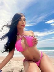 ROSITA LOVE Madrid Transex Hello handsome!!!  I'm paola and i am  25 year old COLOMBIAN latin girl.  Look at my photos and enjoy, they are totally real, no cheating!  I am active and passive ... I make delicious blowjobs ... I also sell videos of me in action and I make hot video calls at a good price ... If you doubt come to meet me and let's have a date. I am beautiful, laughing and funny and too hot.