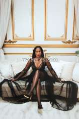 RachelSmithe San Juan Transex First timers welcome | Sensual Domina | Certified Bondassage® Practitioner & Global Master Trainer

Fully functional + cut

📌  REQUEST AN APPOINTMENT 
Email: TSRachelEurope@gmail.com 

The following details must be provided when you inquire for an appointment:  date + time + length of meeting 
ex. 25 March, 14:00, 2hrs, so please complete our booking form. 

Life is too short and full of regrets, don’t you think?  Maybe you are craving for intimacy, or want to broaden your horizons? Are you into sensual domination, fetish or kink? Through technique, instinct, tools or toys, Rachel will make sure your boundaries are safely and respectfully pushed. We surely believe Rachel is truly 'the best of both worlds' !

Make fantasies a reality, and maybe we can help you along your journey of sensuality and self-discovery.

'Quality over Quantity' – Mistress Preferences in Gentlemen:
Respectful, hygienic, open to exploration and willing to connect. Those seeking a rushed encounter, or only desire for her to “finish”, but do nothing to actually achieve that goal are not a good fit.

ATTENTION ! 
Asking Mistress to “Finish”:
When inquiring for a brief moment (e.g., 1 hour), please consider that Rachel hosts multiple guests during her tour. Demanding specific requests like 'nectar' in such short appointments reflects a lack of understanding and awareness. Rachel prioritises the quality of each encounter and strives to ensure every guest leave satisfied. She is delighted to fulfil this special request with gentlemen interested in spending meaningful time together, beyond just one hour. Keep in mind that Rachel values connection and mutual stimulation in her interactions.

🔱 SERVICES
Anal (giving)
Anal Training
BBBJ
BDSM
Body glide
Bondage
Bondassage®
Breath Play
CBT
Clothespins
Cum In Mouth
Dirty Talk
Edging
Elysium by Bondassage®
E-stim/Tens Unit
Enema Training
Facesitting / Queening
Fisting (give)
Flogging
Foot Worship
French Kissing
Full Body Sensual Massage
Hair Pulling (active)
Golden Shower (giving)
Hydro-Rape (high powered & humbling DEEP cleaning)
Lactation
Milking Table
Mutual Bathing / Shower
Nipple Play/ Torture
Pumping
Poppers
Rimming (receiving)
Role Play
Shaving
Spanking
Tantra
Tickling
Toys
Trampling
Verbal Humiliation
Wrestling

🔱 Hygiene Reference Links  - because it matters!
1. cosmopolitan.com/uk/love-sex/sex/a12007398/rimming-tips
2.twitter.com/cmclymer/status/1493679378814976004kinkly.com/5-steps-to-straight-guy-comfort-with-anal-sex/2/1833
3. EnemaTips.com
4. kinkly.com/2/1391/beyond-missionary/anal-sex/the-5-rules-of-anal-play-for-straight-men
5. maleq.org/douching-for-men-how-to-before-anal-sex
6. maleq.org/how-to-make-anal-sex-not-hurt
7. puckerup.com/category/sex-ed/anal-advisor

🔱 TOYS / TOOLS.
Ball Stretchers (Stackable Silicone)
Blindfolds
Chastity Devices
Clothespins
Cock Rings
Dildos / Butt Plugs (S/M/L/XL)
eStim / Tens Unit (anal /cock/ balls / nipples)
Floggers (fur / leather)
Gloves for prostate milking & fisting
Hummingbird & Prostate attachment for Hitachi
Inflatable Anal Stretcher
Latex Evening Length Gloves
Leather Bondage Gear
Leather Evening Length Gloves
Mask / Hood
Nipple Clamps
Paddle
Satin Evening Length Gloves
Snake Bite Nipple Trainers
Under Bed Restraints
Wartenberg Wheel

🔱 OUTFITS.
Body Stockings
Fine Lingerie
G-String
Jeans
Latex
Patent or Leather Thigh High Boots
Patent or Leather Corset
Patent or Leather High Heels
Stockings & Suspenders
Yoga / sportswear

* G-String, Thongs, Panties, Thigh Highs & Body Stockings for clients who like to Cross Dress

📌 PAYMENT OPTIONS
SWISH, Cash, STRIPE, REVOLUT, Credit Card (5%), PayPal (5%)
Bitcoin

For appointments outside Europe, welcome to contact staff@ts-rachel.com