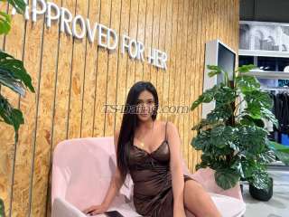 trans girl Rachelle2018 4178974