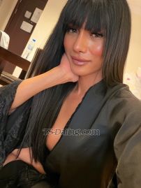 Raven Lust Dubai Transex Ich bin Raven Lust – Ihre philippinische Fantasie wird wahr. Exotisch. Elegant. Unvergesslich. Neu angekommen und bereit, Ihre wildesten Wünsche in die Realität umzusetzen. Ob Sie eine süße, unterwürfige Muse oder eine kühne, gebieterische Präsenz suchen, ich bin Ihr perfekter Zufluchtsort – vielseitig, erfahren und zutiefst intuitiv. Ich bin spezialisiert auf unvergessliche Begegnungen: 💋 Leidenschaftliche Begleitung für Anfänger oder erfahrene Entdecker 💋 Erotische Massagen, die necken und erfreuen 💋 Verführerischer Striptease und Privatshows 💋 Mit Klasse erkundete Kinks – von sinnlicher Dominanz bis hin zu süßer Unterwerfung 💋 Verfügbar für Paare, Dreier und exklusive Fantasien 💋 Offen für griechische, goldene Erlebnisse und mehr auf Anfrage ✨ Ich bin ein Power Top & Sensual Bottom ✨ Gut ausgestattet, immer glatt, sauber und bereit ✨ Zierlich, gebräunt und authentisch ich – jedes Foto ist 100 % echt Wenn Sie sich nach einer diskreten und dennoch elektrisierenden Verbindung sehnen, bin ich nur eine Nachricht entfernt. Lassen Sie uns das Gewöhnliche in etwas Unvergessliches verwandeln. Das Leben ist kurz, Baby – gönnen Sie sich etwas Außergewöhnliches. 📲 Verbinde dich mit mir: LINIE: Sn3aky69 Telegramm: ashy4you WeChat: imperial_ashley (Whatsapp und Viber auf Anfrage verfügbar)