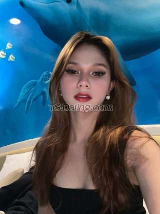 trans girl Renatservice 7026348